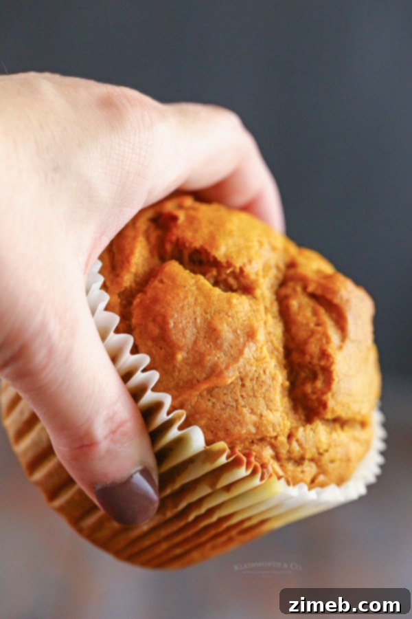 JUMBO Pumpkin Muffins, freshly baked.