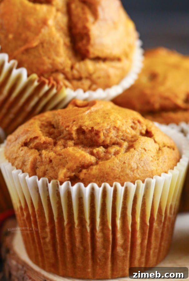 Close-up of fall breakfast muffins, showcasing their fluffy texture.