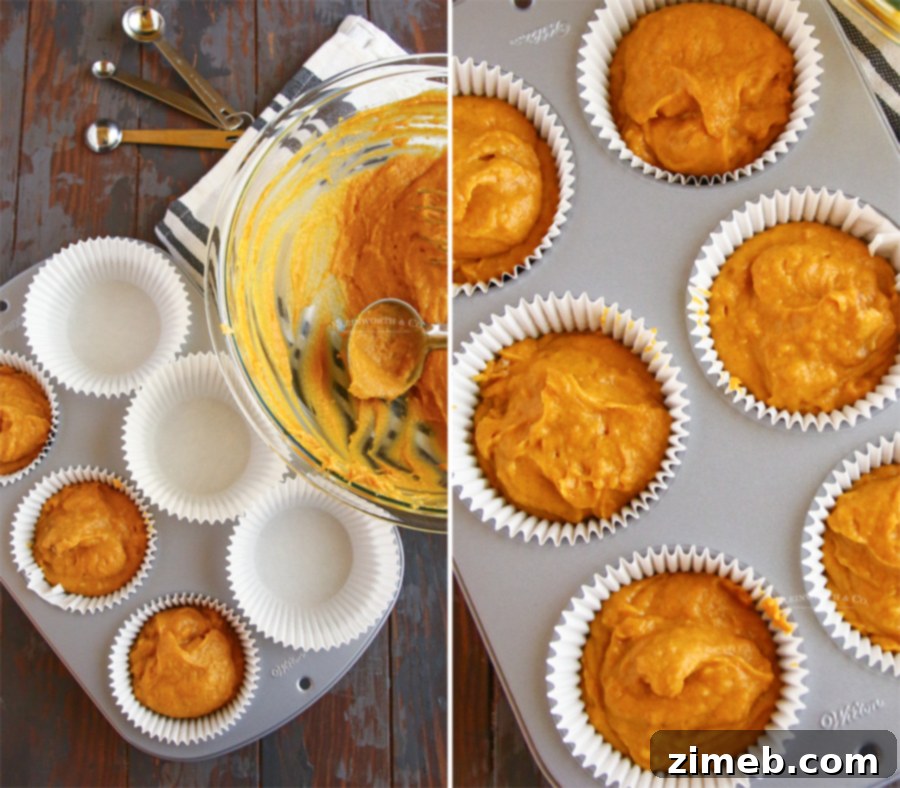 Showing the technique of how to make Bakery-Style Pumpkin Muffins.