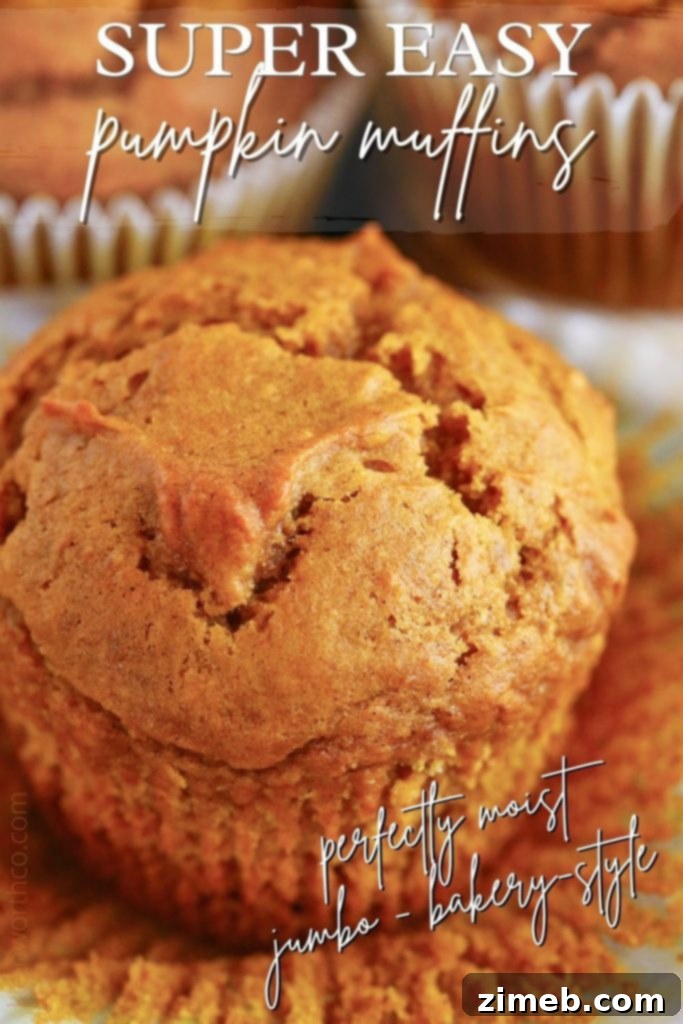 A plate of Bakery-Style Pumpkin Muffins, ready to eat.