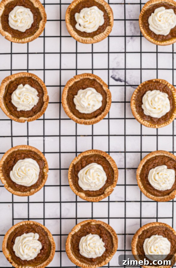 Close-up of a delightful pumpkin pie topped with fluffy whipped cream.
