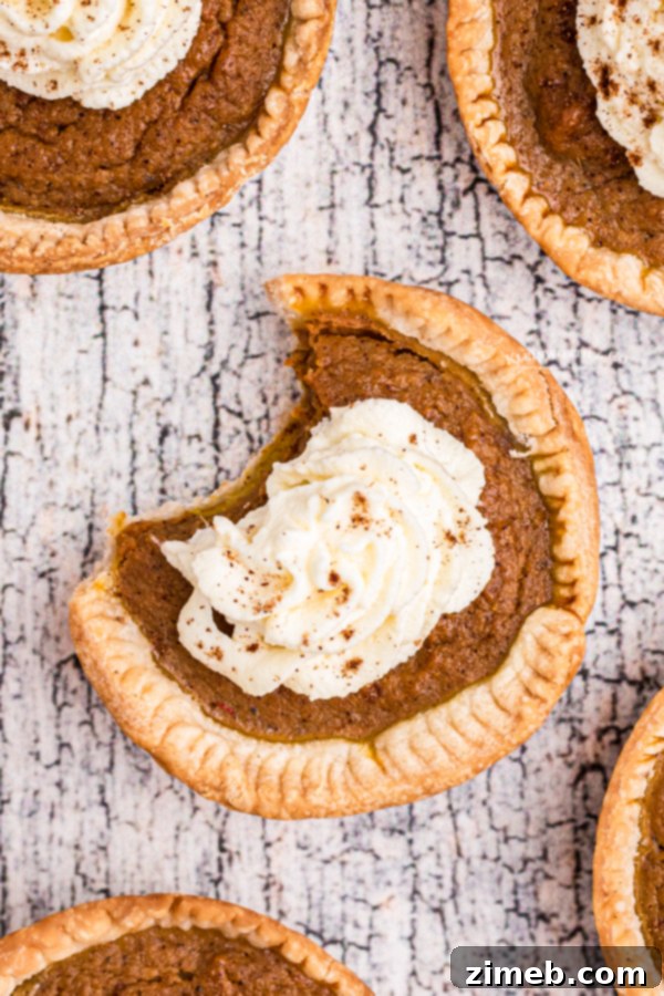 Close-up of a perfectly baked Mini Pumpkin Pie, ready to be served.