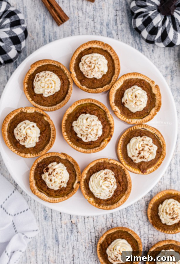 A festive Thanksgiving pumpkin pie, beautifully decorated.