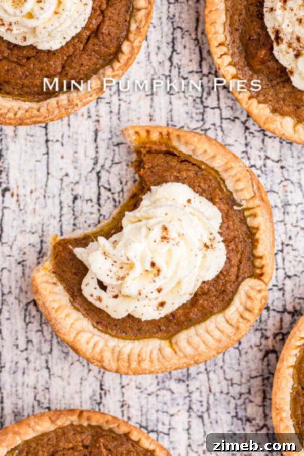 A delicious plate of Mini Pumpkin Pies, ready to be enjoyed.