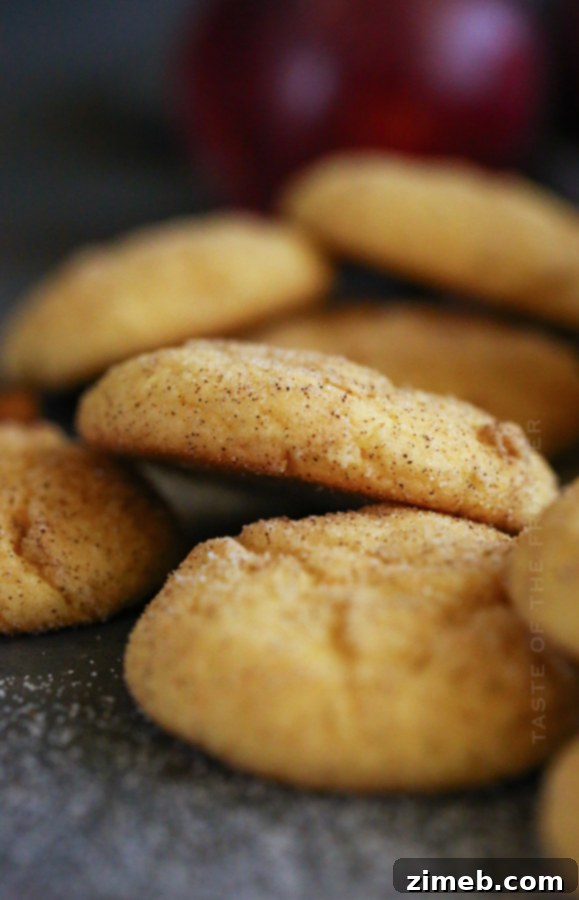 Close-up of golden Cake Mix Cinnamon Sugar Cookies