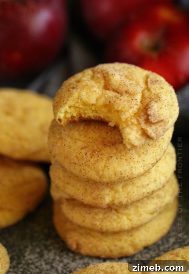 How to make Cake Mix Snickerdoodles, step-by-step