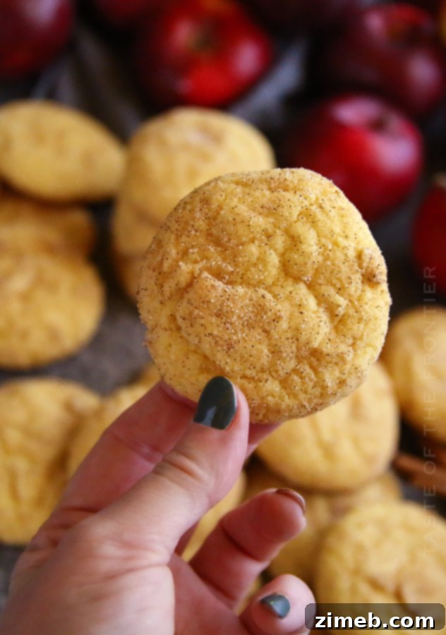 Recipe for Cake Mix Snickerdoodles, freshly baked
