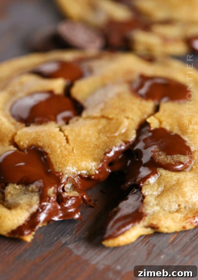 Melty Chocolate Chips