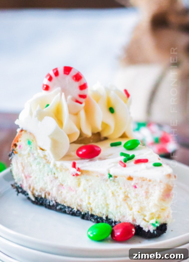 slice of Christmas Cheesecake