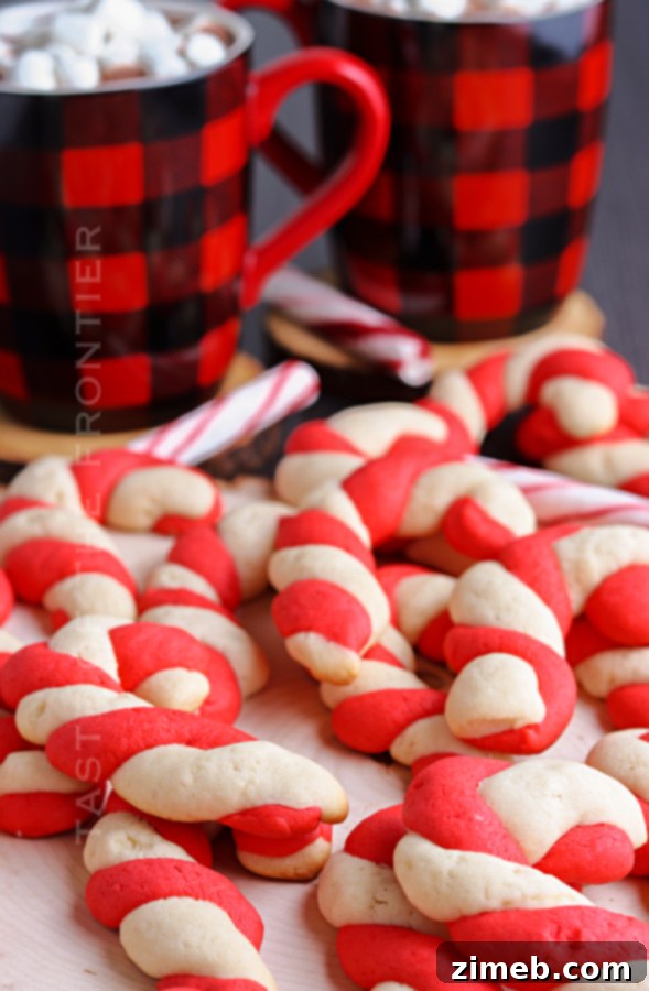 Festive Peppermint Twists 21 Candy Cane Cookies with Hot Cocoa