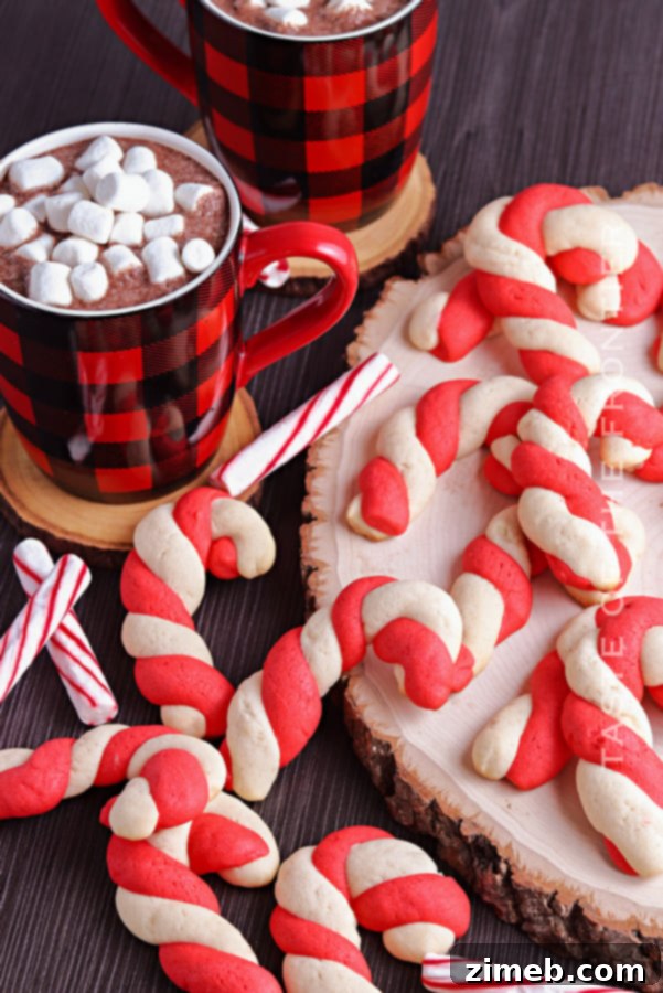 Festive Peppermint Twists 22 Classic Candy Cane Cookies Recipe