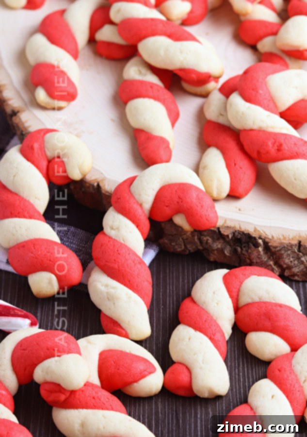 Festive Peppermint Twists 9 Recipe for Classic Candy Cane Cookies