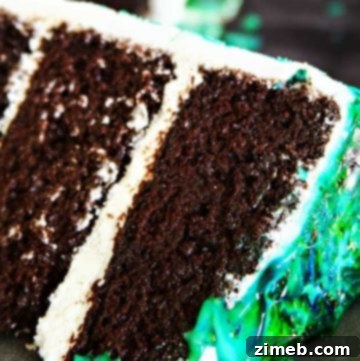 Chocolate Birthday Cake - World's Best Chocolate Cake