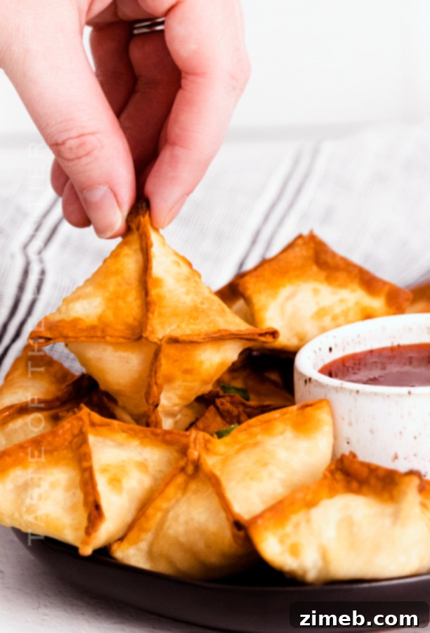 Crispy Air Fryer Crab Rangoon 20 game day Air Fryer Rangoon
