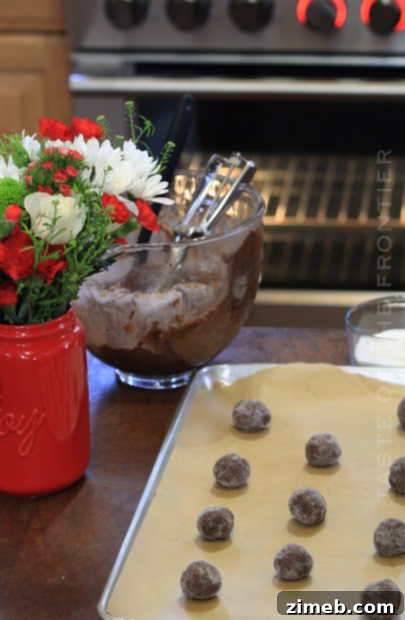 Pillowy Soft Chocolate Sugar Cookies 17 how to make Chocolate Sugar Cookies