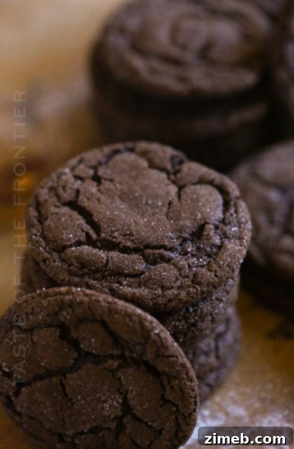 Pillowy Soft Chocolate Sugar Cookies 18 recipe sugar cookies soft