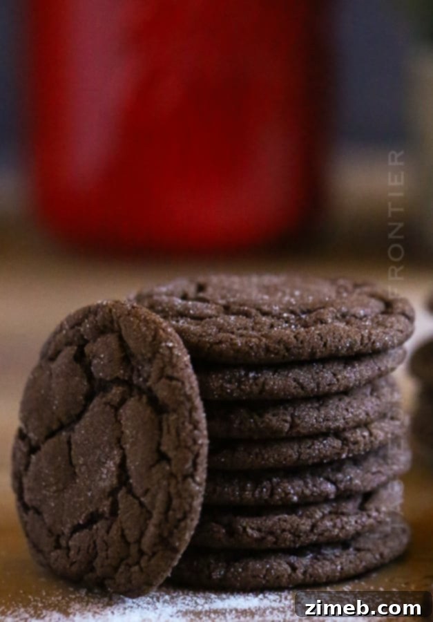Pillowy Soft Chocolate Sugar Cookies 3 a recipe for sugar cookies