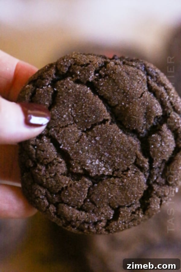 Pillowy Soft Chocolate Sugar Cookies 5 BEST Chocolate Sugar Cookies