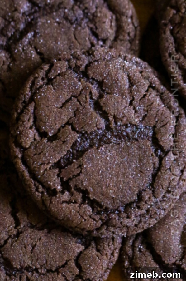 Pillowy Soft Chocolate Sugar Cookies 7 Chewy Chocolate Sugar Cookies