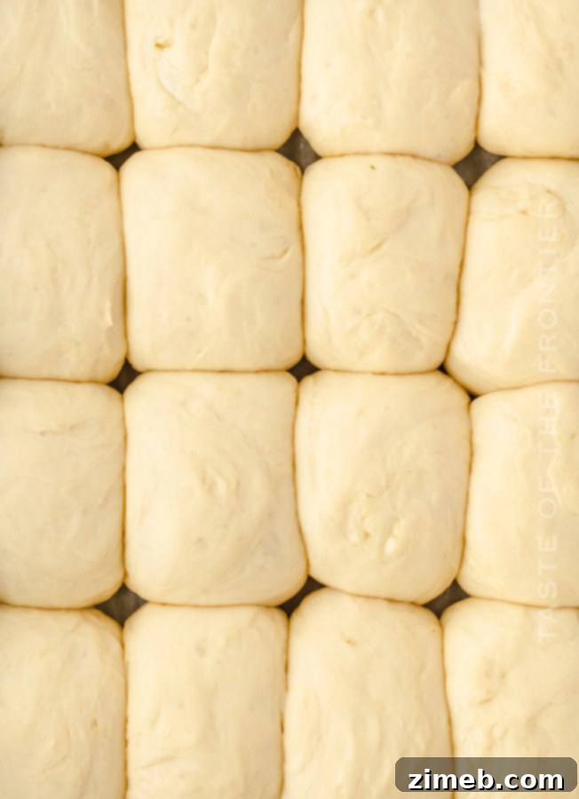 Dough for rolls ready to bake, perfectly formed and rising in a casserole dish