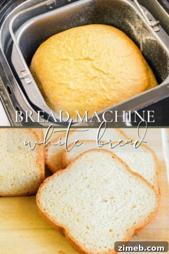 Perfect Bread Machine White Bread 20 Bread Machine White Bread, perfectly golden.