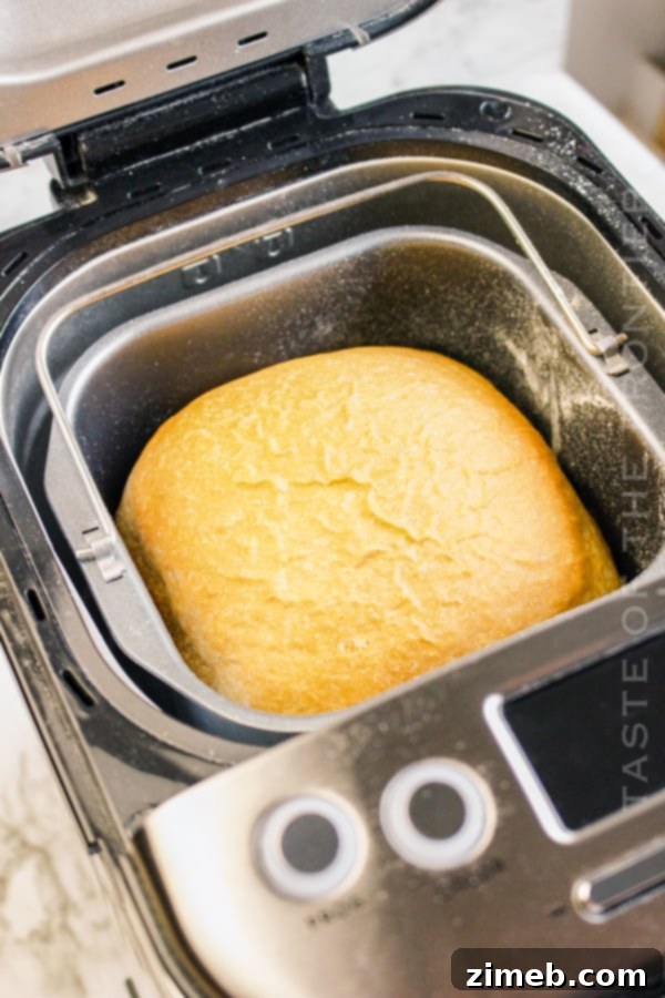 Perfect Bread Machine White Bread 7 A freshly baked loaf of bread machine white bread on a cooling rack.