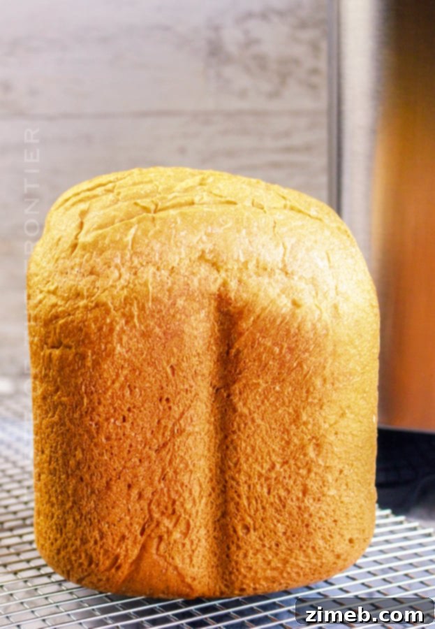 Perfect Bread Machine White Bread 9 A whole loaf of fluffy white bread, freshly baked.
