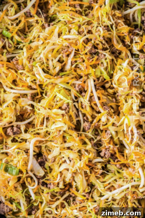 Inside Out Egg Roll 10 egg roll filling