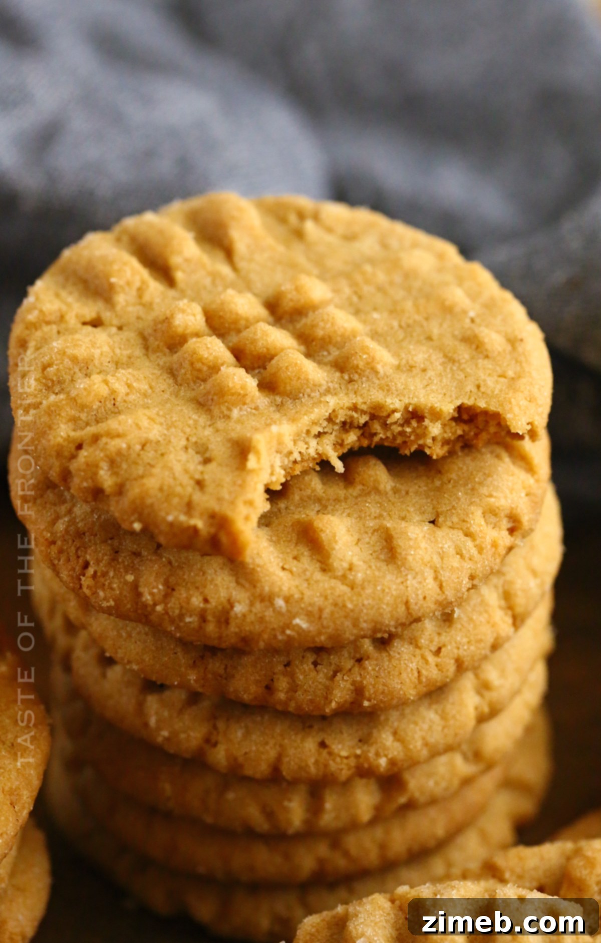 Irresistible Peanut Butter Bliss 2 Classic Peanut Butter Cookies, soft and chewy