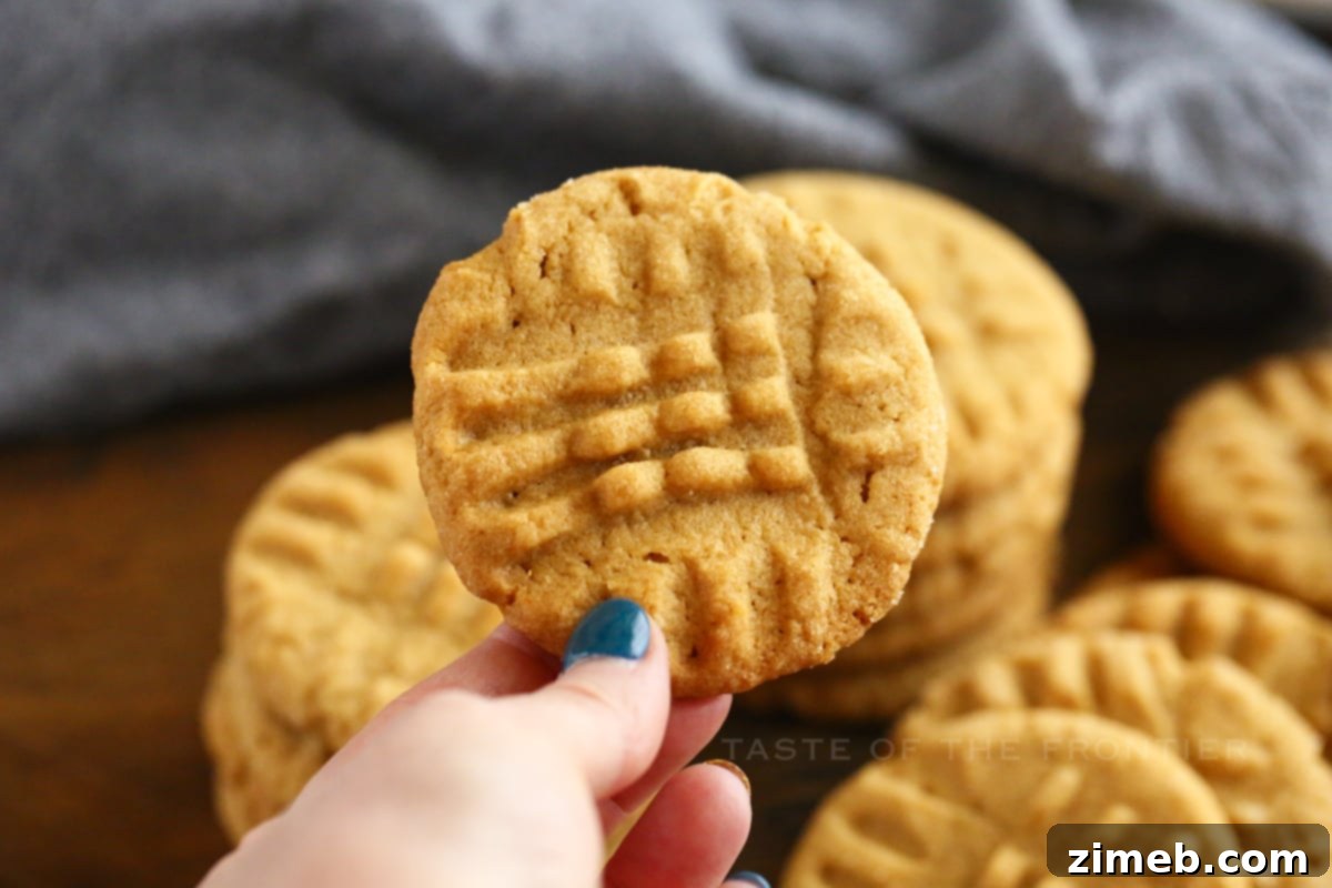 Irresistible Peanut Butter Bliss 11 The best classic peanut butter cookies recipe