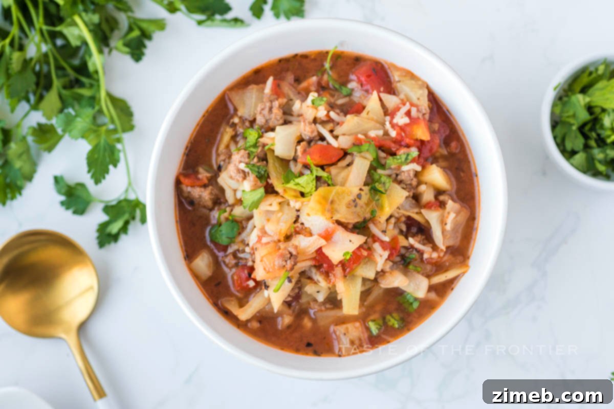 Stuffed Cabbage Soup 16 Healthy cabbage soup garnished with fresh parsley.