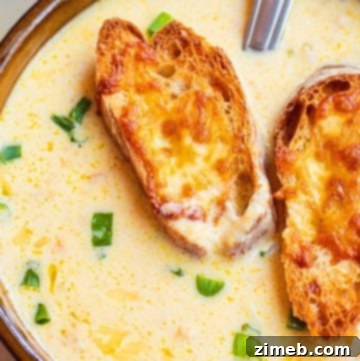 Stuffed Cabbage Soup 19 20 minute beer cheese soup