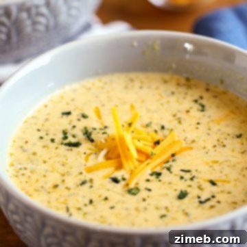 Stuffed Cabbage Soup 23 broccoli cheese soup