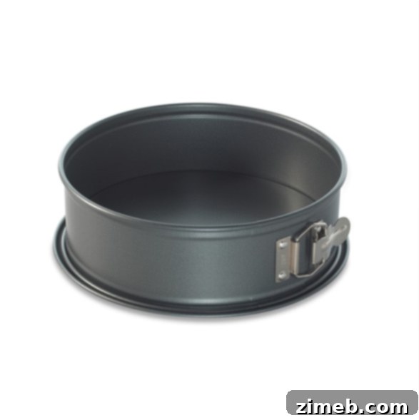 10-inch springform pan