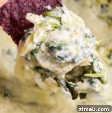 appetizer Artichoke Spinach Dip