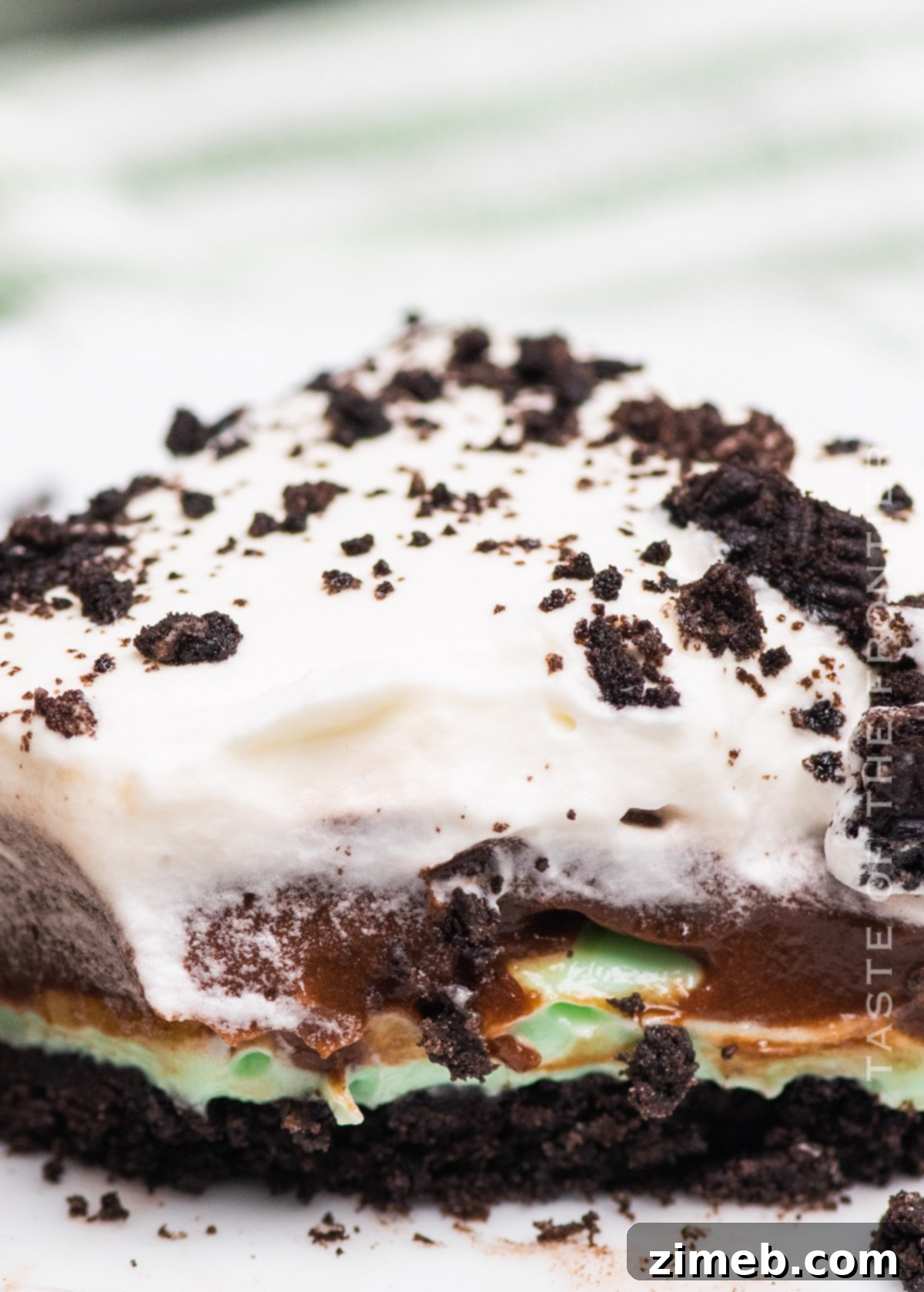 Mint Chocolate Indulgence 18 Plate with a square of No-Bake Chocolate Mint Lush Dessert