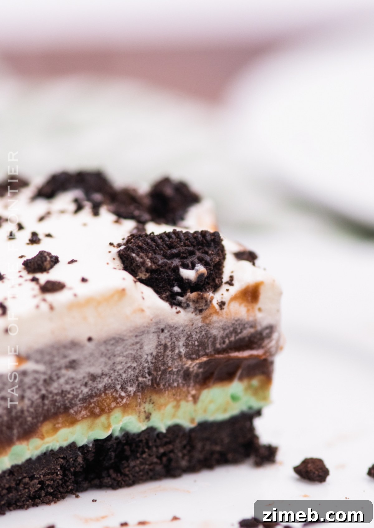 Mint Chocolate Indulgence 4 Close-up of the layered creme de menthe lush dessert