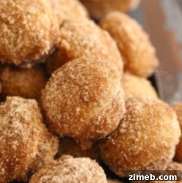 Cinnamon Sugar Donut Holes