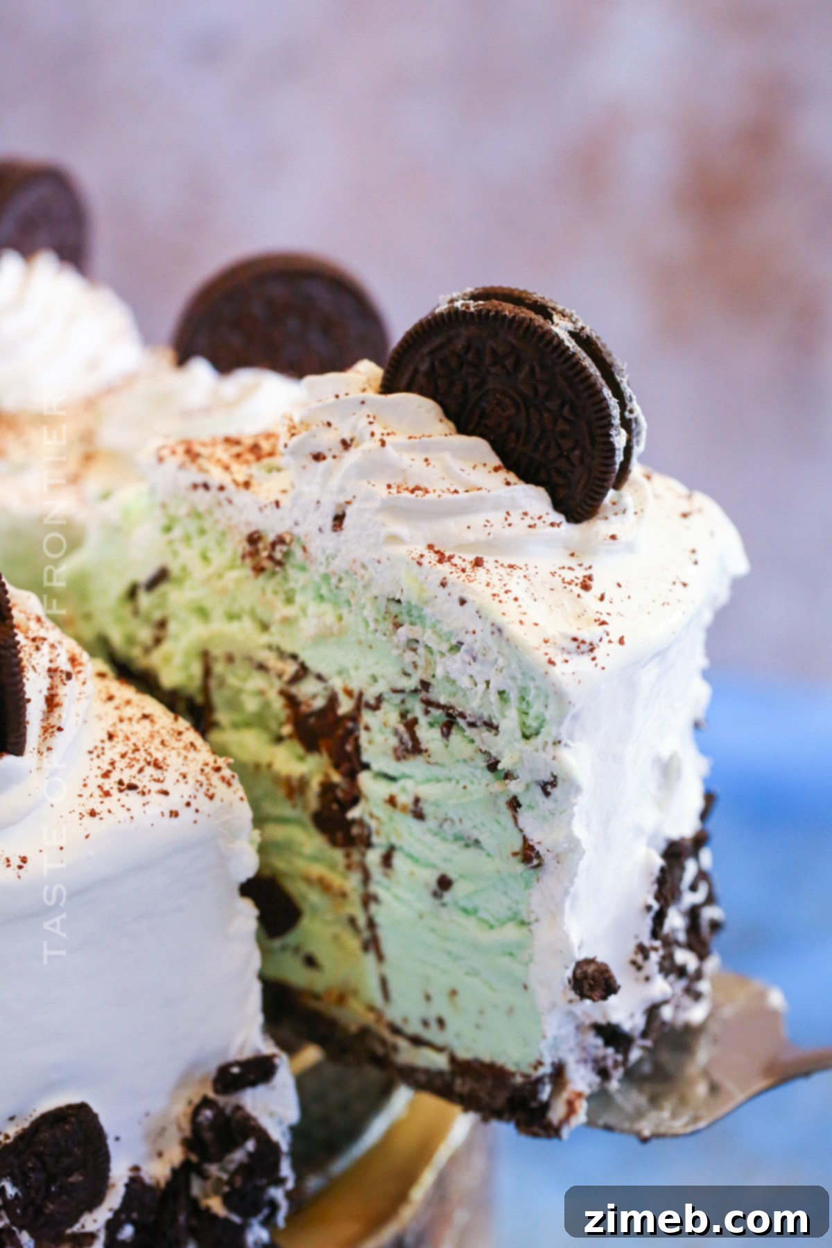 Refreshing Mint Chocolate Chip Ice Cream Cake 11 Slice of mint chocolate chip ice cream cake
