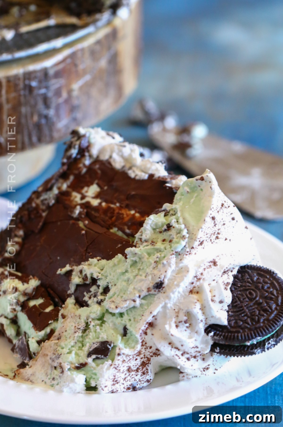Refreshing Mint Chocolate Chip Ice Cream Cake 5 Holiday ice cream cake with mint and chocolate