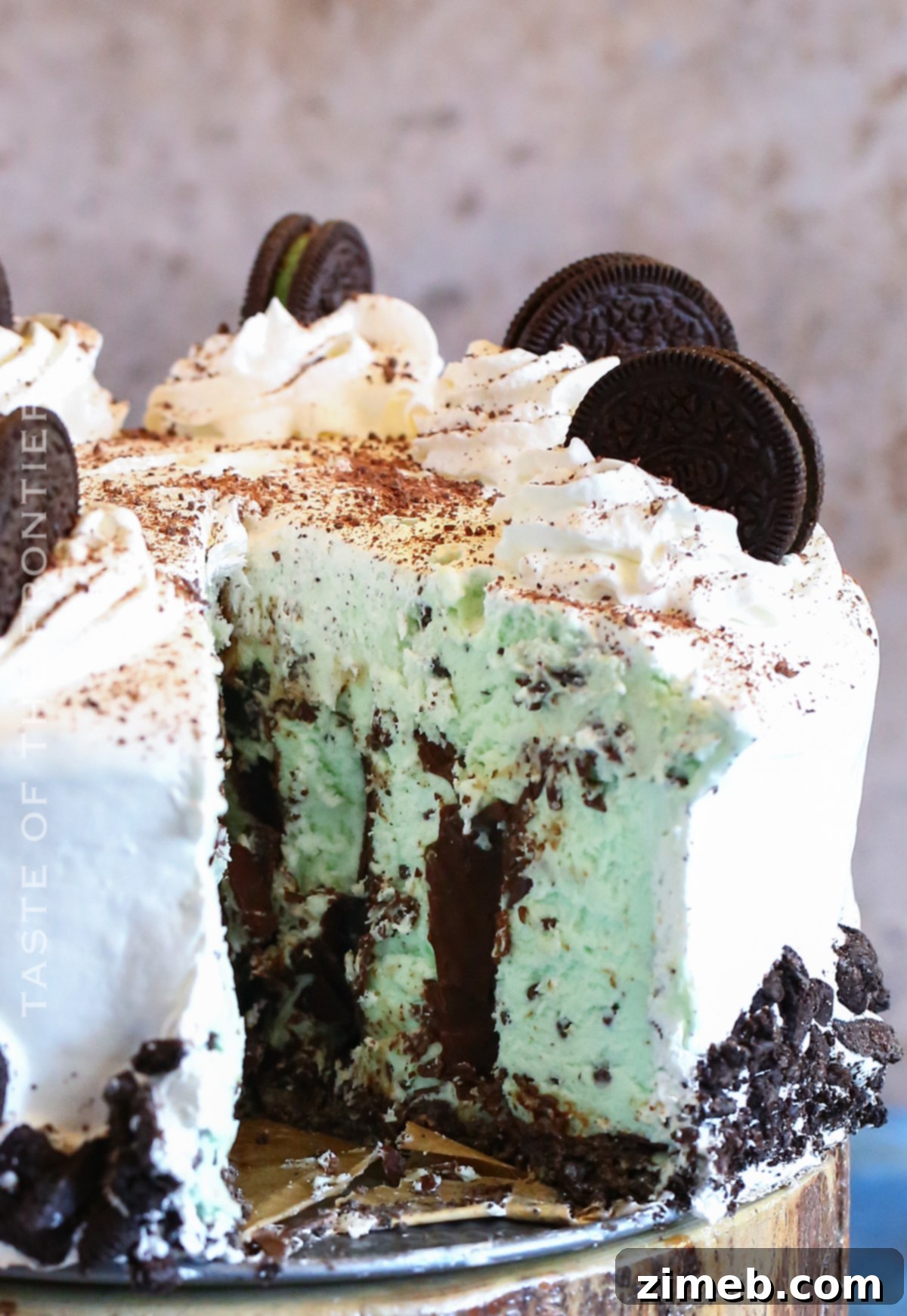 Refreshing Mint Chocolate Chip Ice Cream Cake 6 Hot fudge layer on ice cream cake