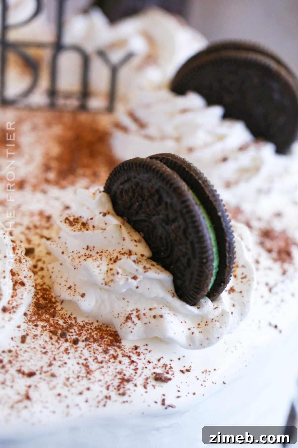 Refreshing Mint Chocolate Chip Ice Cream Cake 7 Oreo ice cream cake decorated with whipped topping