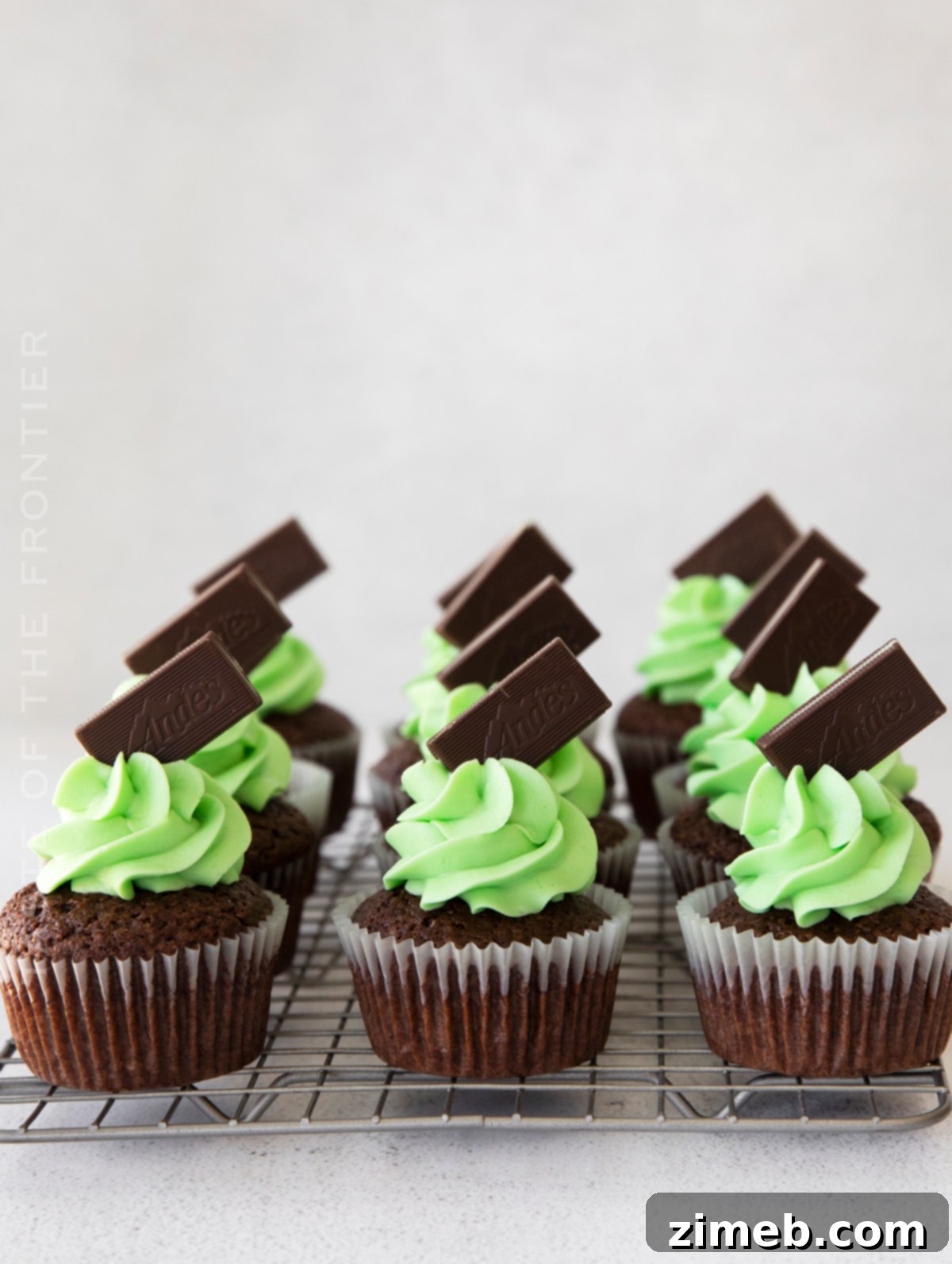 chocolate mint cupcakes