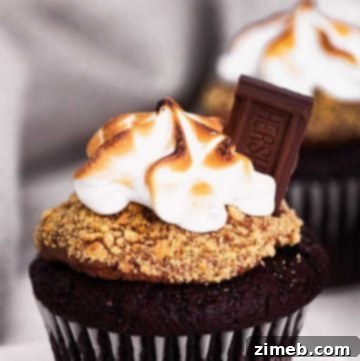 S'mores Cupcakes Recipe