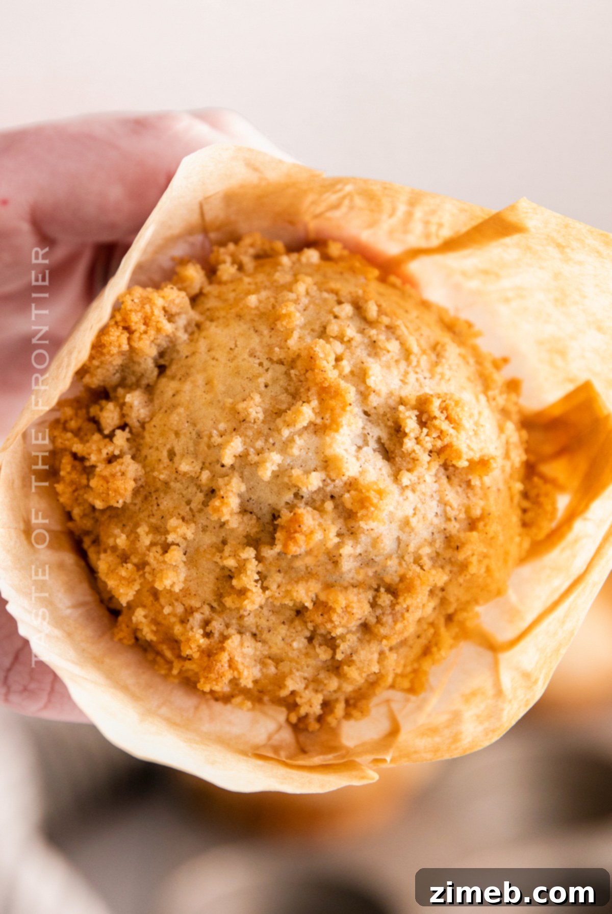 Cinnamon Crumb Muffins 22 Close up of a cinnamon coffee cake muffin with streusel