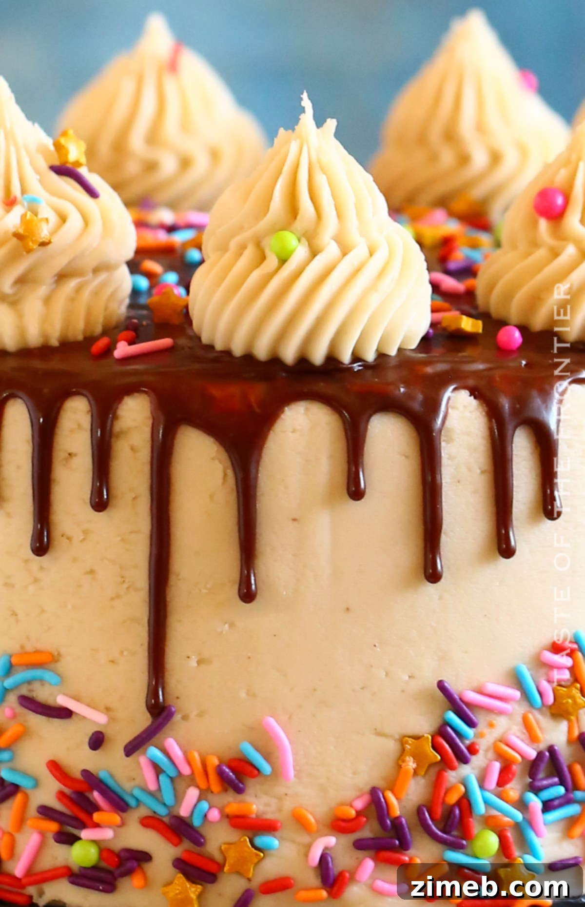 A festive birthday party cake with vibrant sprinkles and chocolate ganache drips.