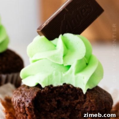 Andes mint cake