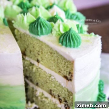 Decadent Raspberry Chocolate Dream 20 grasshopper cake