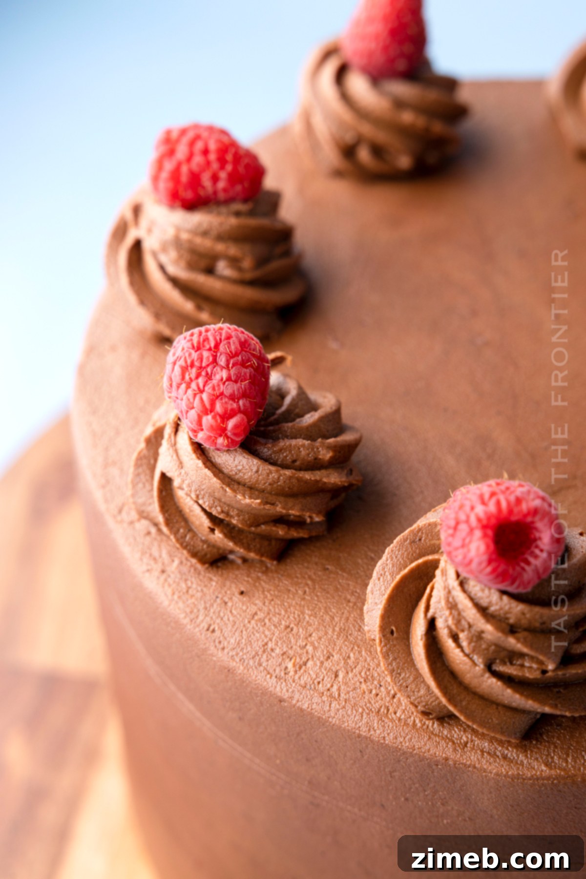 Decadent Raspberry Chocolate Dream 3 chocolate bakery cake
