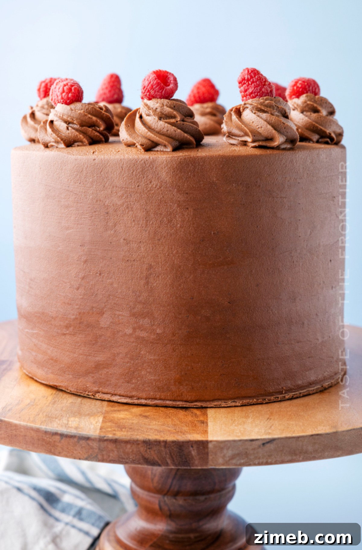 Decadent Raspberry Chocolate Dream 23 birthday party choclate cake